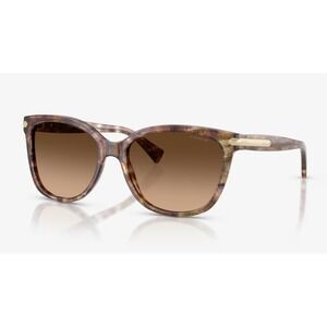 COACH HC 8132 L109 Polarized Sunglasses